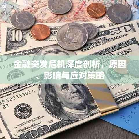 金融突发危机深度剖析,原因、影响与应对策略