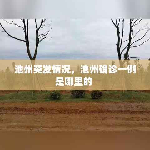 池州突发情况，池州确诊一例是哪里的 