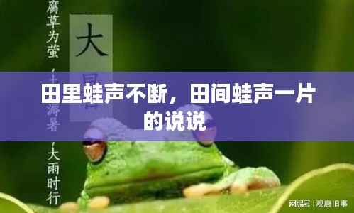 田里蛙声不断,田间蛙声一片的说说