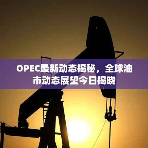 OPEC最新动态揭秘,全球油市动态展望今日揭晓