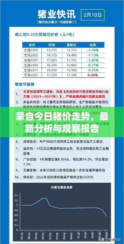 蒙自今日猪价走势,最新分析与观察报告