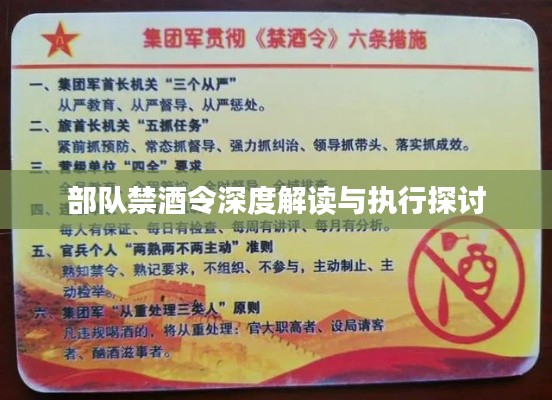部队禁酒令深度解读与执行探讨