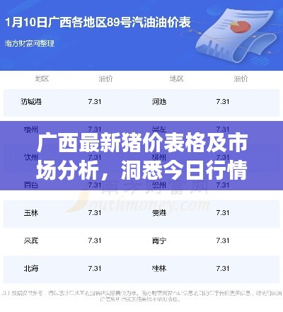 广西最新猪价表格及市场分析,洞悉今日行情!