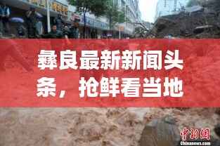 彝良最新新闻头条,抢鲜看当地时事动态