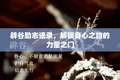 辟谷励志语录,解锁身心之旅的力量之门