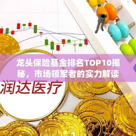 龙头保险基金排名TOP10揭秘,市场领军者的实力解读