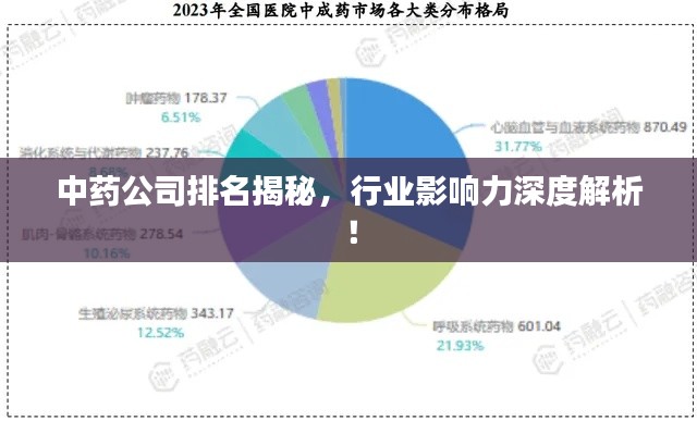 中药公司排名揭秘,行业影响力深度解析!