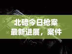 北碚今日枪案最新进展,案件细节揭秘,真相令人震惊!