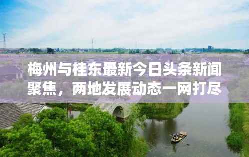 梅州与桂东最新今日头条新闻聚焦,两地发展动态一网打尽