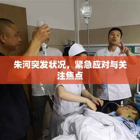 朱河突发状况,紧急应对与关注焦点