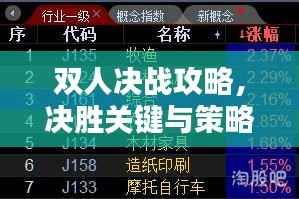 双人决战攻略,决胜关键与策略深度解析