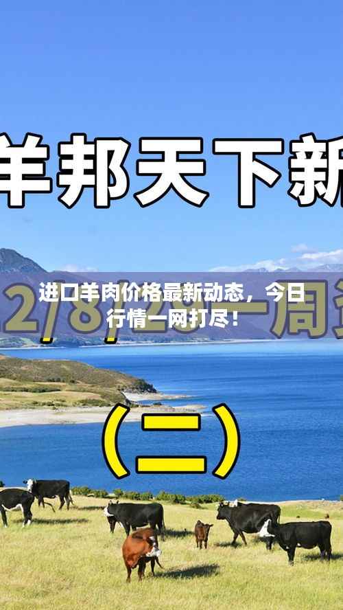 进口羊肉价格最新动态,今日行情一网打尽!