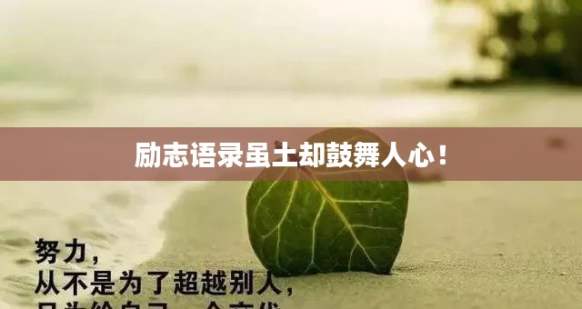 励志语录虽土却鼓舞人心!