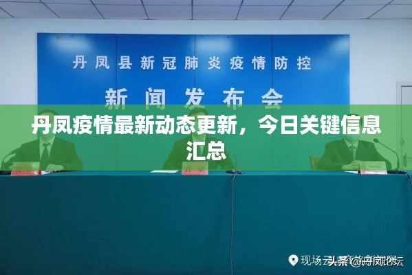 丹凤疫情最新动态更新,今日关键信息汇总