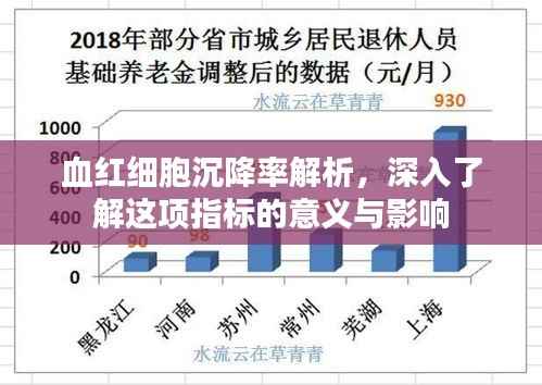 血红细胞沉降率解析,深入了解这项指标的意义与影响