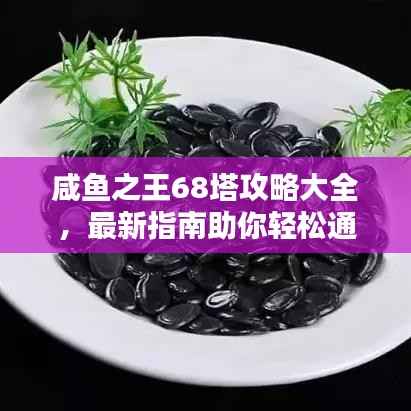 咸鱼之王68塔攻略大全,最新指南助你轻松通关!
