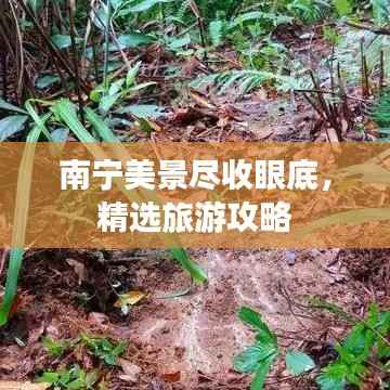 南宁美景尽收眼底,精选旅游攻略