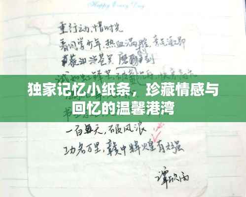 独家记忆小纸条,珍藏情感与回忆的温馨港湾