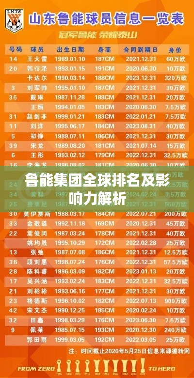 鲁能集团全球排名及影响力解析