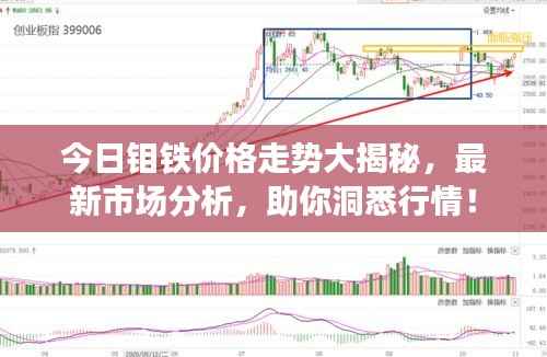 今日钼铁价格走势大揭秘，最新市场分析，助你洞悉行情！