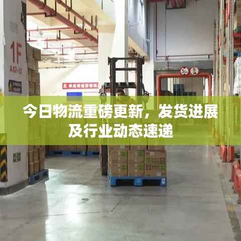 今日物流重磅更新,发货进展及行业动态速递