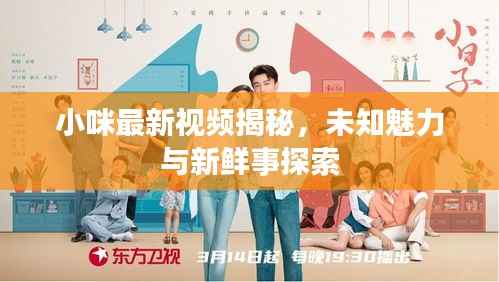 小咪最新视频揭秘,未知魅力与新鲜事探索