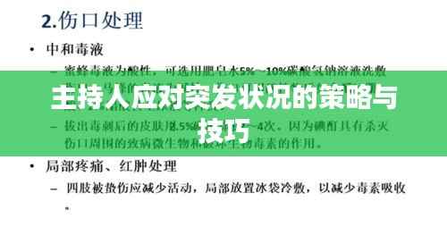 主持人应对突发状况的策略与技巧