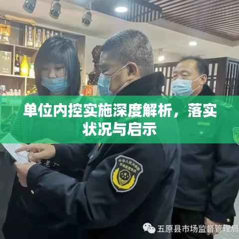 单位内控实施深度解析,落实状况与启示