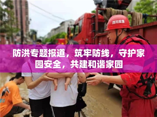 防洪专题报道,筑牢防线,守护家园安全,共建和谐家园