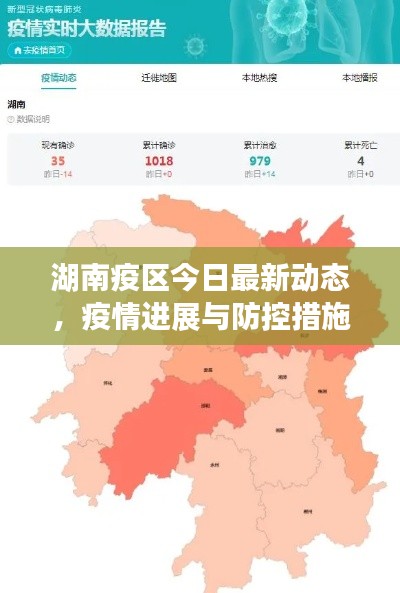 湖南疫区今日最新动态,疫情进展与防控措施更新
