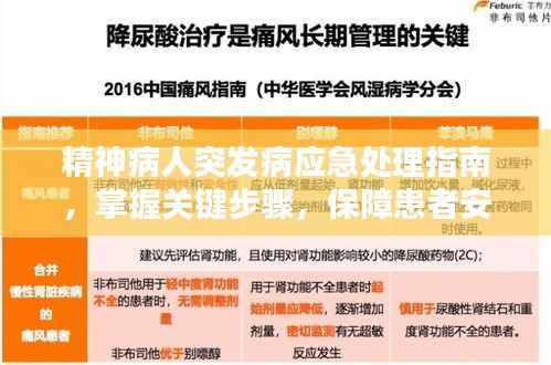 精神病人突发病应急处理指南,掌握关键步骤,保障患者安全