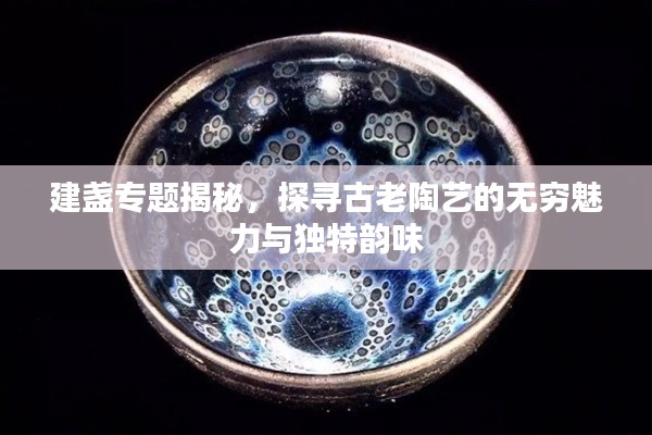 建盏专题揭秘,探寻古老陶艺的无穷魅力与独特韵味