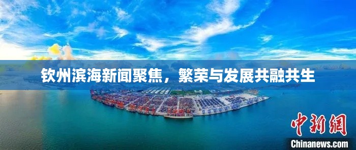 钦州滨海新闻聚焦,繁荣与发展共融共生