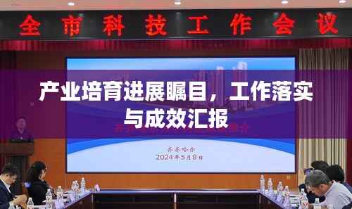 产业培育进展瞩目,工作落实与成效汇报