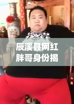 辰溪县网红胖哥身份揭晓,最新动态全面关注