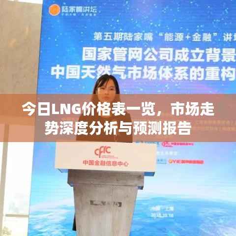 今日LNG价格表一览,市场走势深度分析与预测报告