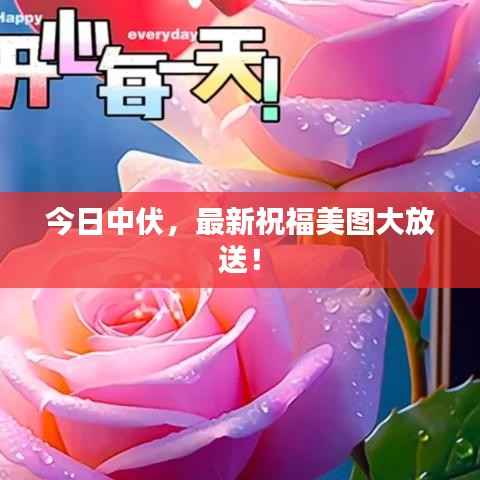 今日中伏,最新祝福美图大放送!