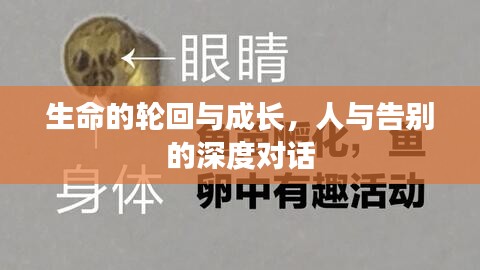 生命的轮回与成长,人与告别的深度对话