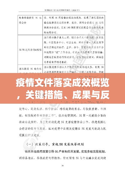 疫情文件落实成效概览,关键措施、成果与反思