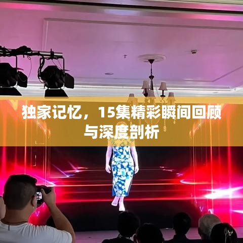 独家记忆，15集精彩瞬间回顾与深度剖析