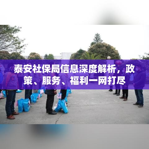 泰安社保局信息深度解析,政策、服务、福利一网打尽