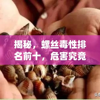 揭秘,螺丝毒性排名前十,危害究竟有多大?