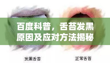 百度科普,舌苔发黑原因及应对方法揭秘
