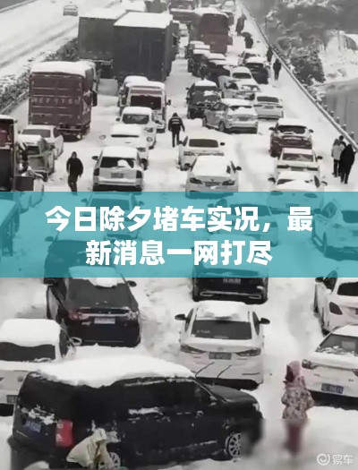 今日除夕堵车实况,最新消息一网打尽