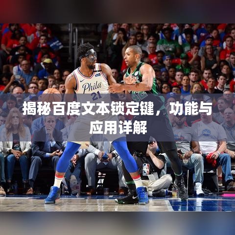 揭秘百度文本锁定键,功能与应用详解