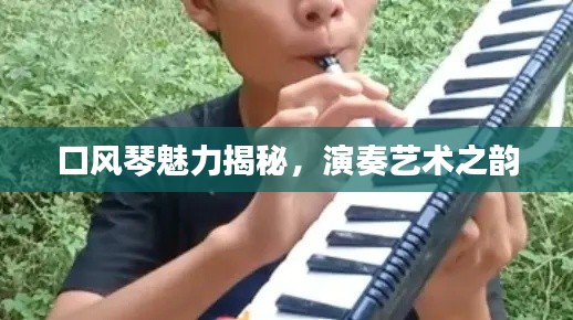 口风琴魅力揭秘,演奏艺术之韵