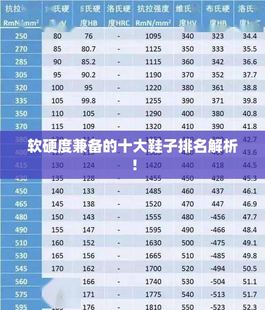 软硬度兼备的十大鞋子排名解析！