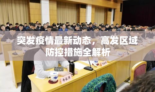 突发疫情最新动态,高发区域防控措施全解析