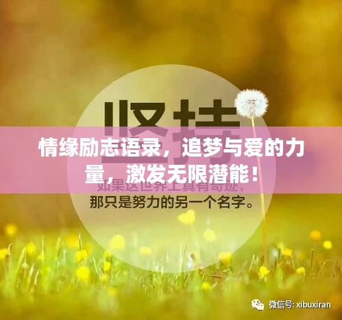 情缘励志语录,追梦与爱的力量,激发无限潜能!
