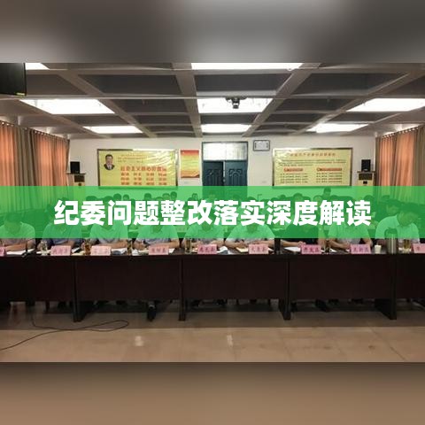 纪委问题整改落实深度解读